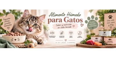 Alimento húmedo para gatos Alimento húmedo para gatos