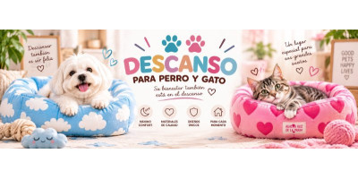 Descanso para gatos