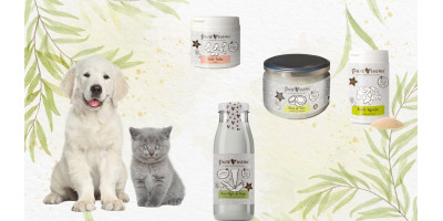 Suplementos naturales para gatos Suplementos naturales para gatos