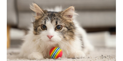 Juguetes para gatos