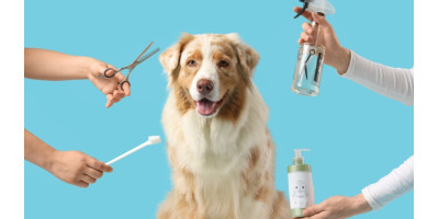 Peluquería para perros