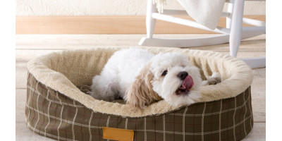 Descanso para perros Descanso para perros