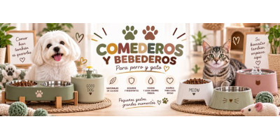 Comederos y bebederos gato Comederos y bebederos gato