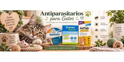 Antiparasitarios externos para gatos