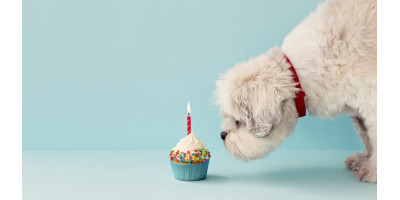 Cumpleaños Cumpleaños