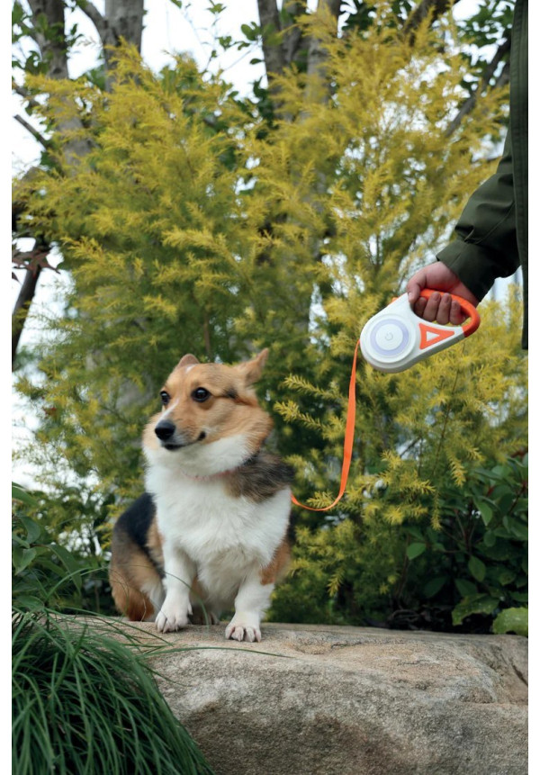 Correa retráctil para perros FLASH color naranja 3 M
