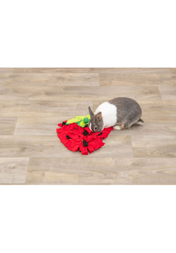 Alfombra para Olfatear 33 × 40 cm