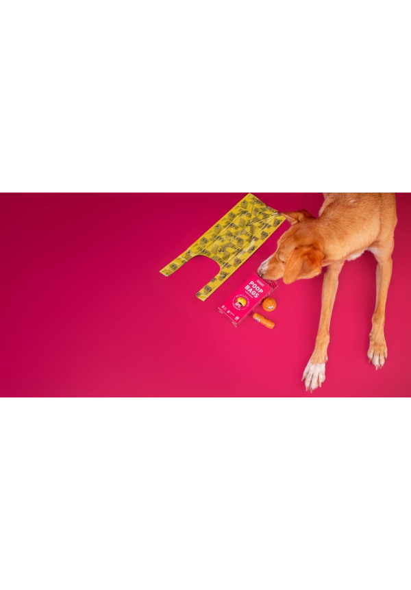 Dashi Poop Bags Talco 40 unidades