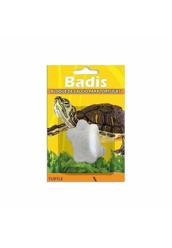 Badis Calcio Tortugas