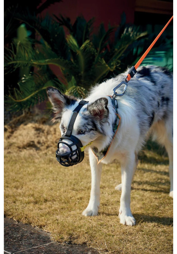 Bozal para perros BARK GUARD negro y amarillo L