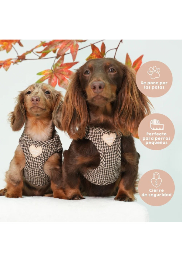 Mypug&co Arnés Body Pata de gallo S
