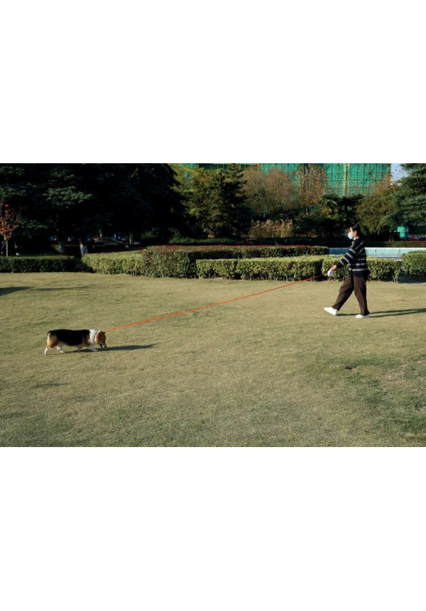 Correa retráctil para perros FLASH color naranja 3 M