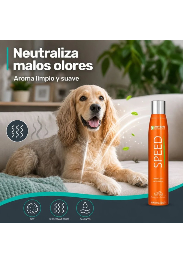 ARTERO CHAMPU EN SECO SPEED 300ML
