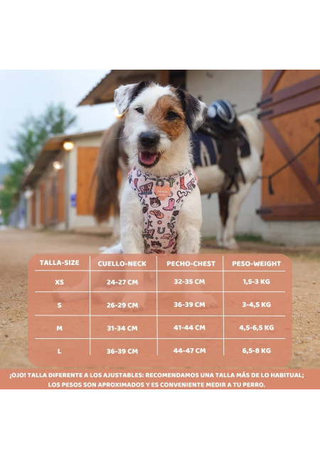 Mypug&co Arnés Body Rodeo L
