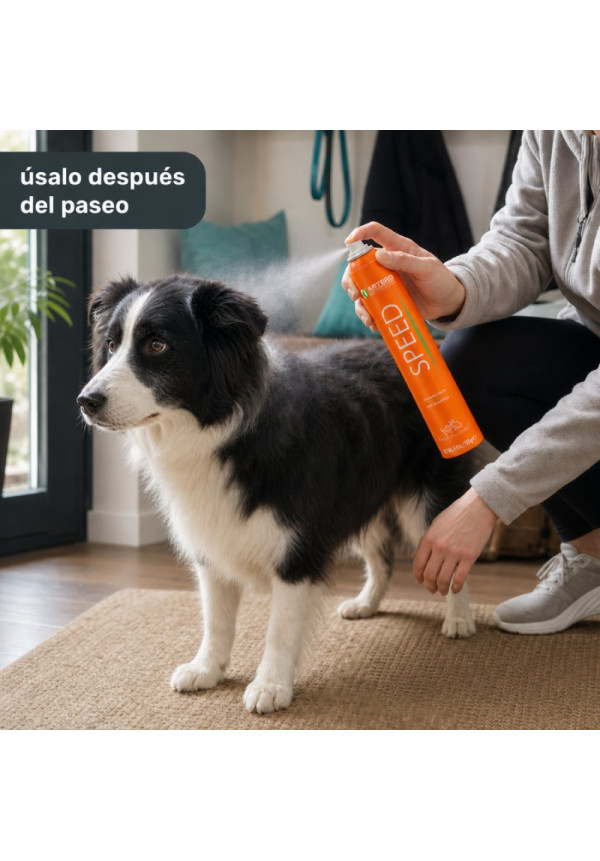 ARTERO CHAMPU EN SECO SPEED 300ML