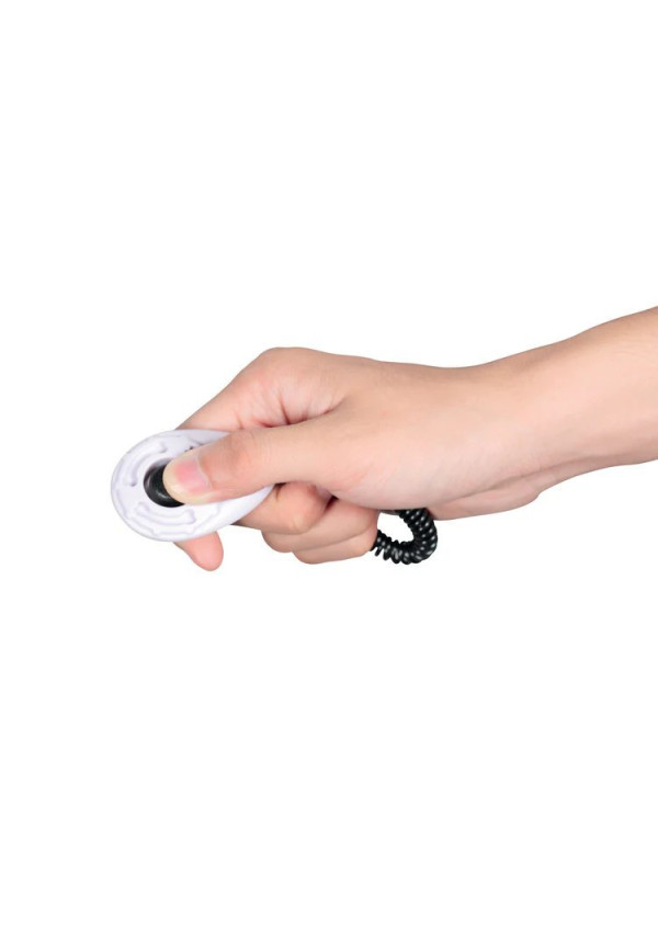 CLICK TRAINING TOOL