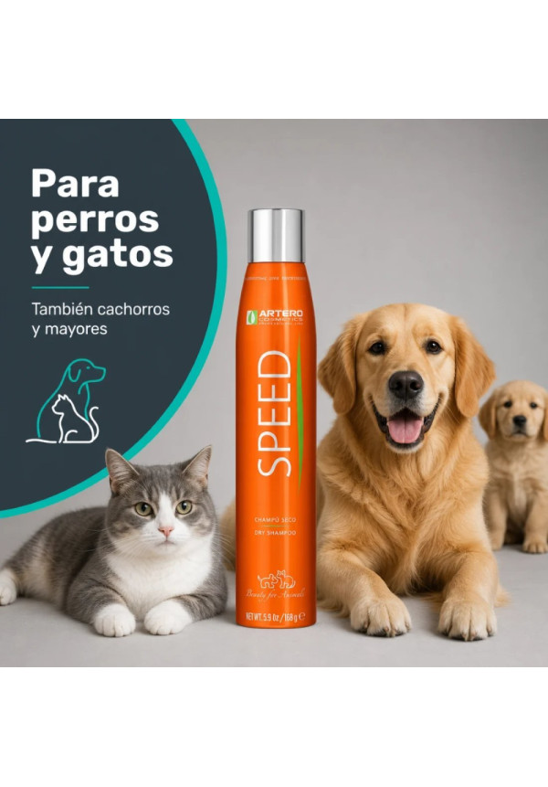ARTERO CHAMPU EN SECO SPEED 300ML