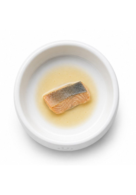 ZEN Heritage Filete Salmon al vapor 22GR