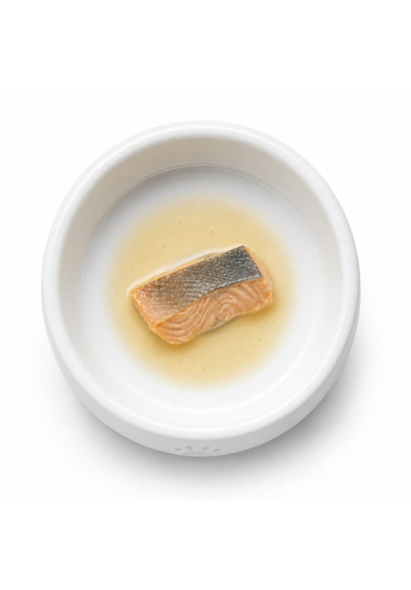 ZEN Heritage Filete Salmon al vapor 22GR