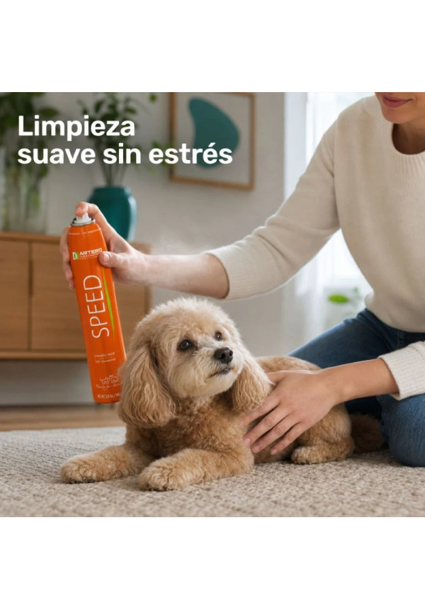 ARTERO CHAMPU EN SECO SPEED 300ML
