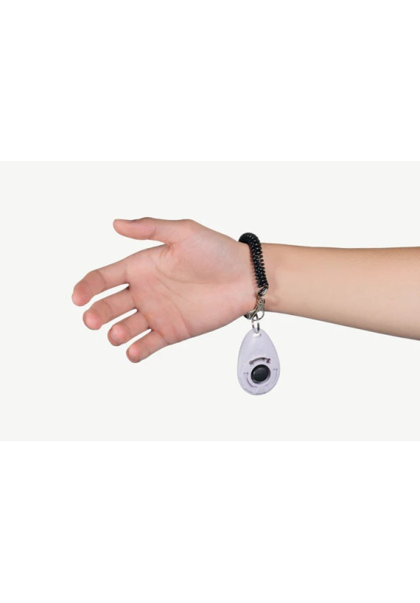 CLICK TRAINING TOOL