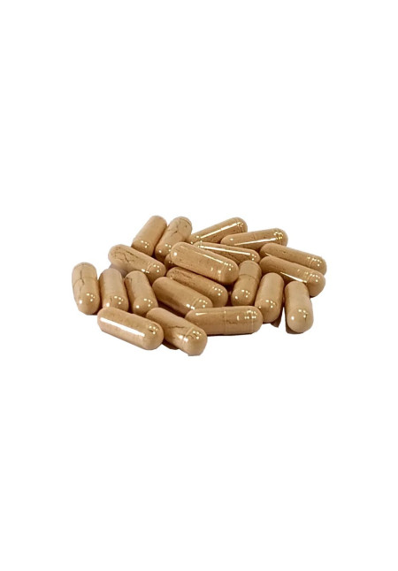 Repelente de Garrapatas natural, 60 uds