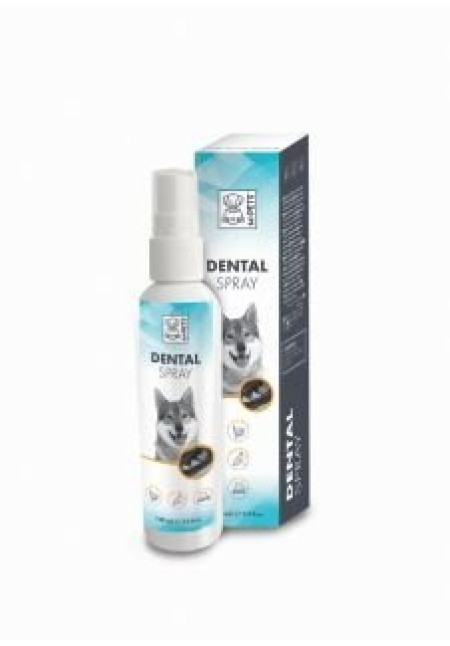 SPRAY DENTAL SPRAY DENTAL