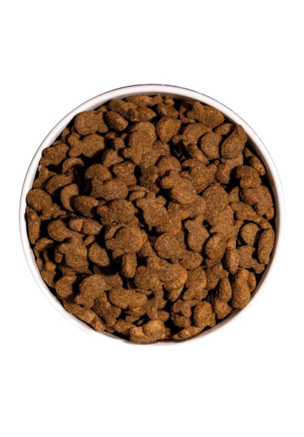 OWNAT CLASSIC FISH 12 KG