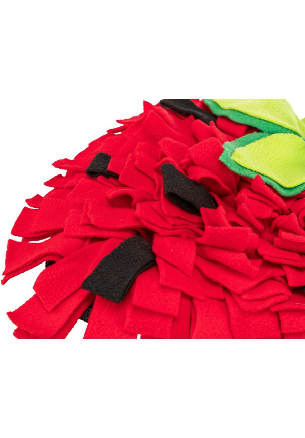 Alfombra para Olfatear 33 × 40 cm