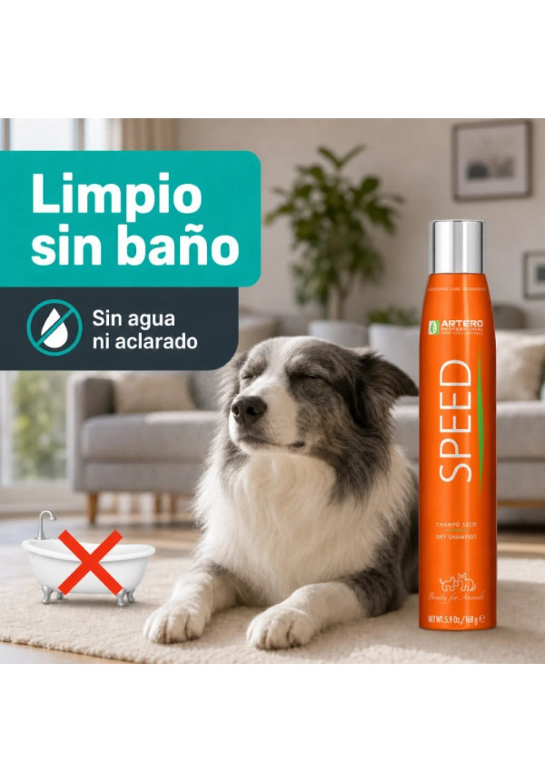 ARTERO CHAMPU EN SECO SPEED 300ML