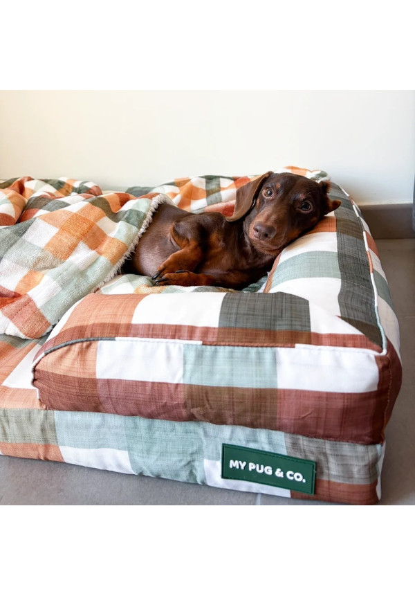 Cama Autumn Picnic