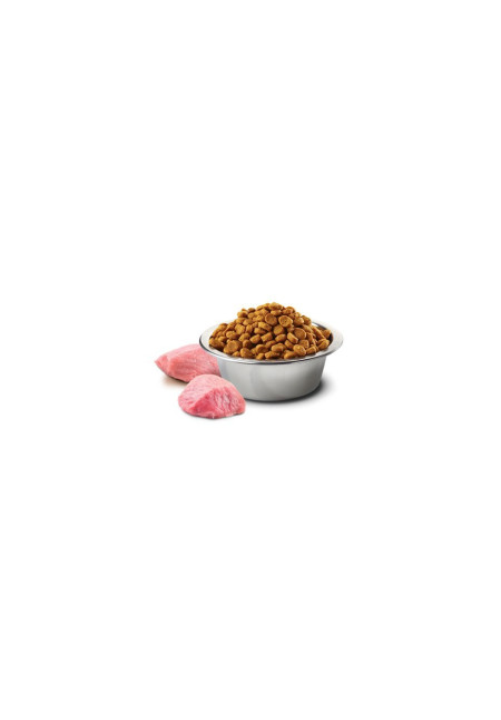 N&D DOG PUMPKIN CORDERO & ARANDANO ADULT MINI 2,5KG