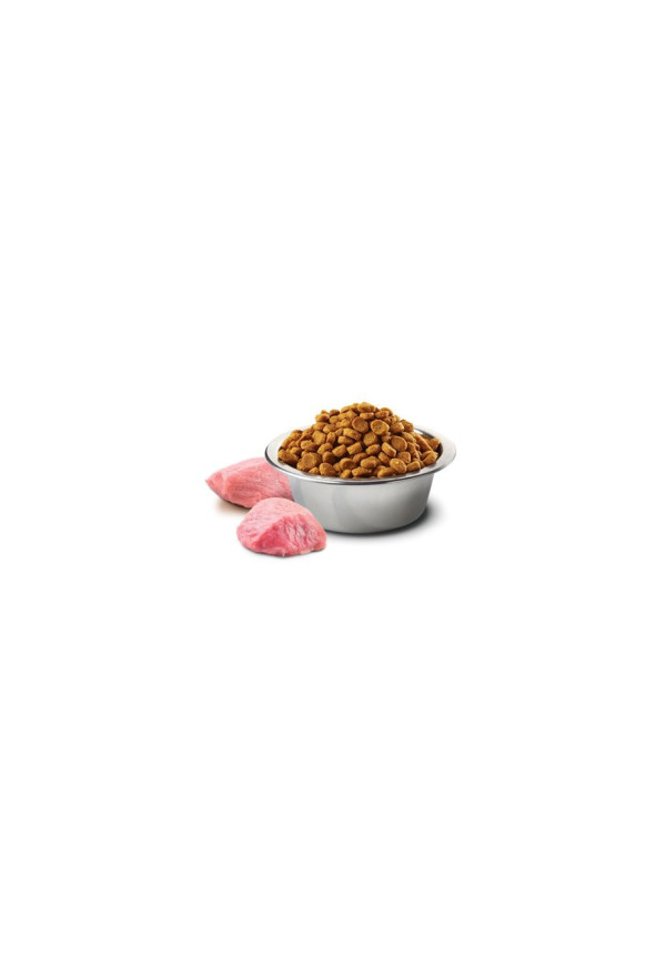 N&D DOG PUMPKIN CORDERO & ARANDANO ADULT MINI 2,5KG