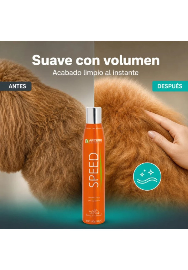 ARTERO CHAMPU EN SECO SPEED 300ML