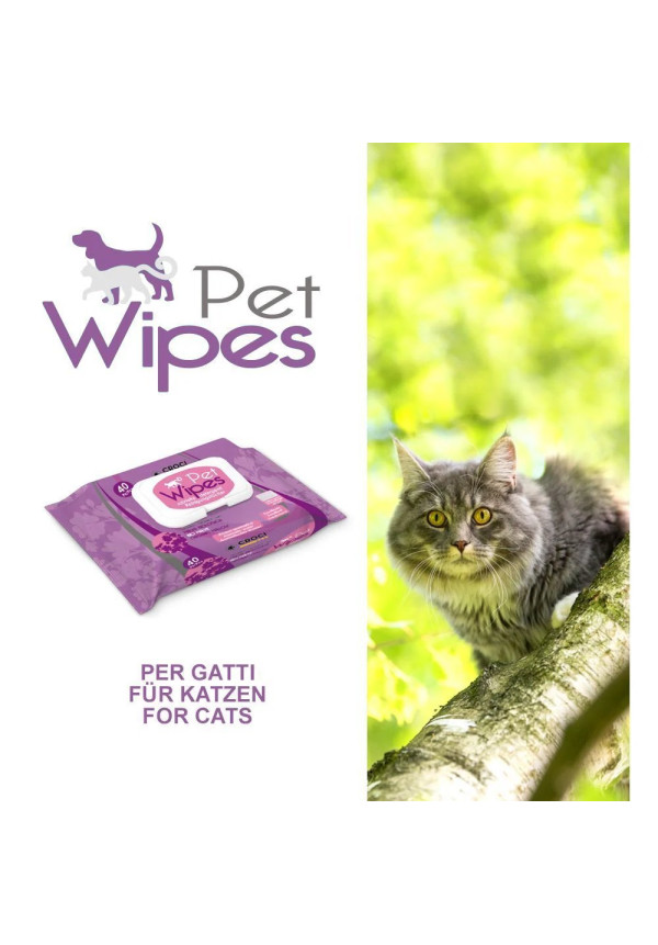 CROCI Toallitas de Gato Organic Mauve 40unid