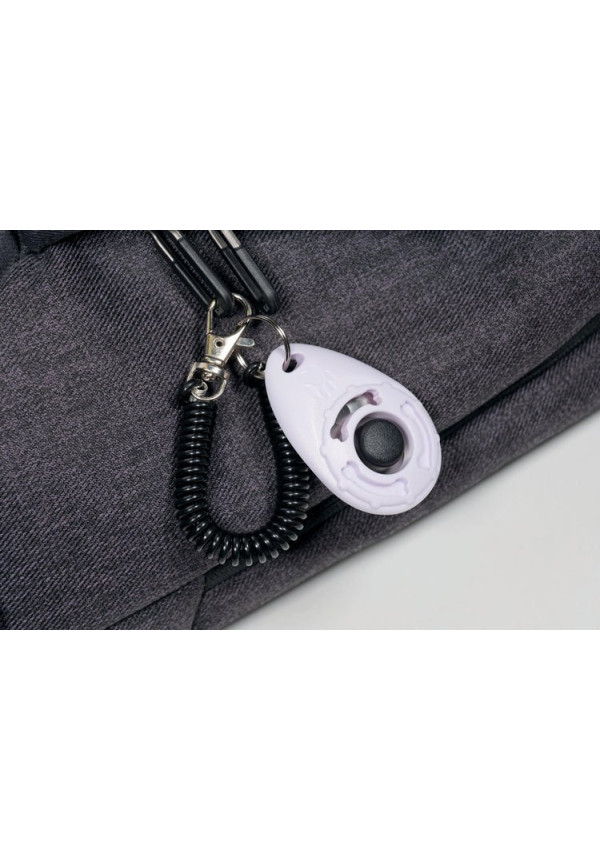 CLICK TRAINING TOOL